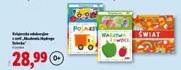 Lidl Książeczka edukacyjna z serii „Akademia Mądrego Dziecka” oferta