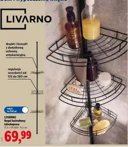 Lidl LIVARNO Regal łazienkowy teleskopowy oferta