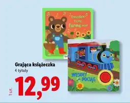 Lidl Grająca książeczka oferta