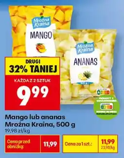 Biedronka Mango lub ananas Mroźna Kraina oferta