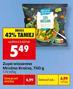 Biedronka Zupa wiosenna Mroźna Kraina oferta