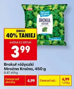 Biedronka Brokuł różyczki Mroźna Kraina oferta