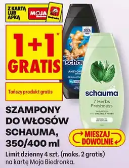 Biedronka Szampony do włosów Schauma oferta