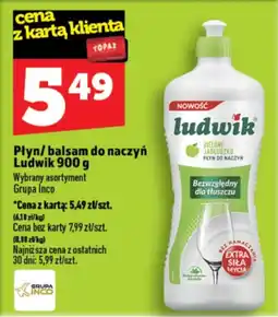 Topaz Express Płyn/balsam do naczyń Ludwik oferta