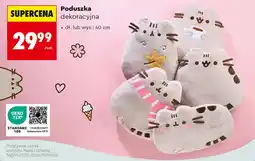 Biedronka Poduszka dekoracyjna oferta