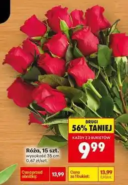 Biedronka Róźa 15 szt oferta