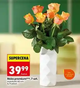 Biedronka Róża premium*, 7 szt oferta