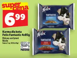 Topaz Express Karma dla kota Felix Fantastic oferta