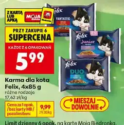 Biedronka Karma dla kota Felix oferta