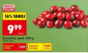 Biedronka Żurawina oferta