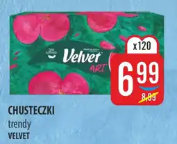 MOKPOL CHUSTECZKI trendy VELVET oferta