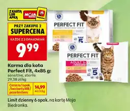 Biedronka Karma dla kota Perfect Fit oferta