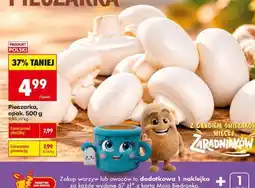 Biedronka Pieczarka opak 500 g oferta