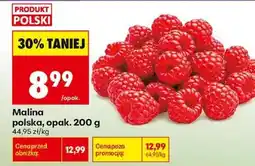 Biedronka Malina polska, opak. 200 g oferta