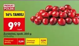 Biedronka Żurawina opak 250 g oferta
