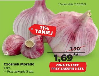 Netto Czosnek Morado oferta
