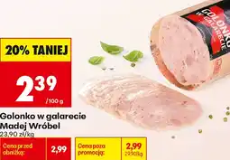 Biedronka Golonko w galarecie Madej Wróbel oferta