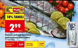 Biedronka Świeży pstrąg tęczowy patroszony Marinero oferta