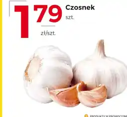 Frac Czosnek oferta