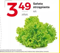 Frac Sałata oferta