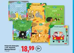 Lidl Książeczka oferta