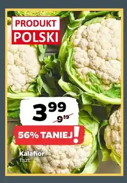 Netto Kalafior oferta