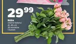Netto Róże dł. 40 cm 20 kwiatów oferta