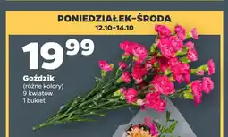 Netto Goździki 9 kwiatów oferta