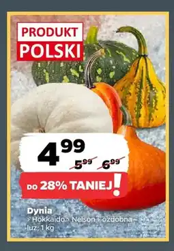 Netto Dynia Hokkaido oferta