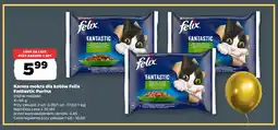 Netto Karma mokra dla kotów Felix Fantastic Purina 4-pak oferta