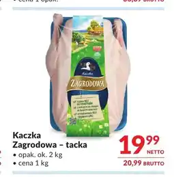 Makro Kaczka tacka oferta