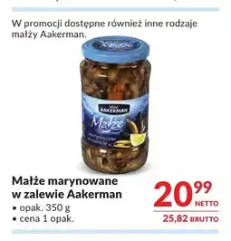 Makro Małże marynowane w zalewie Aakerman oferta