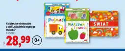 Lidl Książeczka edukacyjna z serii Akademia Mądrego Dziecka oferta