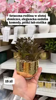 Pepco Sztuczna roślina w złotej doniczce oferta