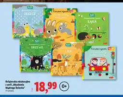Lidl Książeczka edukacyjna z serii Akademia Mądrego Dziecka oferta