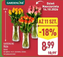 ALDI Bukiet róż Gardenline oferta