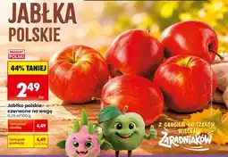 Biedronka Jabłka Polski oferta