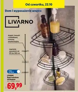 Lidl Regał łazienkowy teleskopowy Livarno oferta