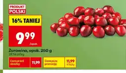 Biedronka Żurawina Polski oferta