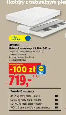 Lidl Materac kieszeniowy H3 140x200 cm Livarno oferta