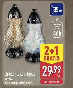 ALDI Znicz oferta