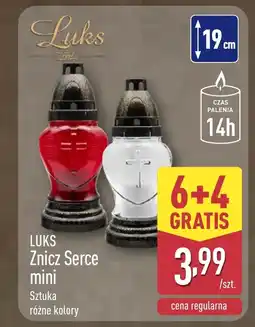 ALDI Znicz Luks oferta