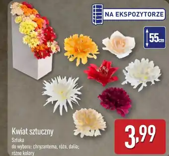 ALDI Kwiat sztuczny oferta