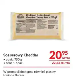 Makro Sos serowy Cheddar Hochland Professional oferta