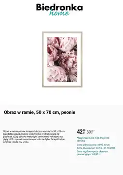 Biedronka Obraz w ramie, 50 x 70 cm, peonie oferta