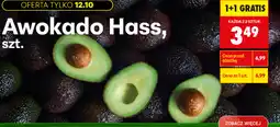 Biedronka Awokado Hass oferta
