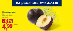 Lidl Śliwki oferta