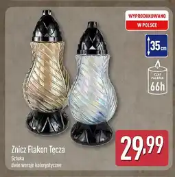 ALDI Znicz Flakon Tęcza oferta