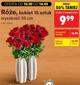 Biedronka Róże bukiet 15 sztuk wysokość 35 cm oferta