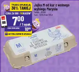 Polomarket Jajka M od kur z wolnego wybiegu Marysia oferta